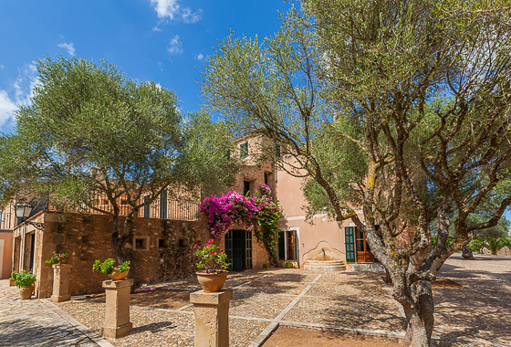awesome villa Casa Peral in Mallorca, Alcudia